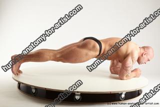 various reference of dale 29